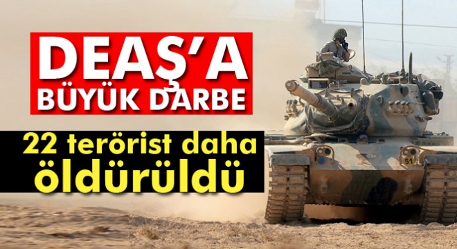 22 DEAŞ terör örgütü mensubu etkisiz hale getirildi