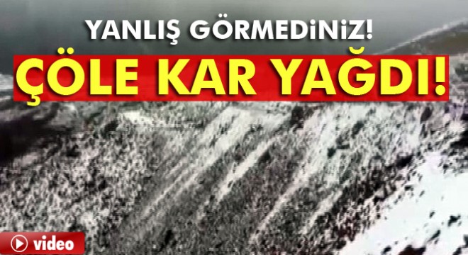 Suudi Arabistan'da çöle kar yağdı
