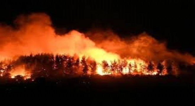 Çanakkale'de İki Noktadaki Yangınların İlerleyişi Durduruldu